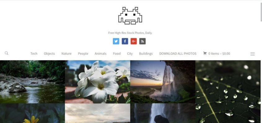 royalty free-images_bossfight