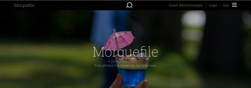 royalty free-images_moguefile